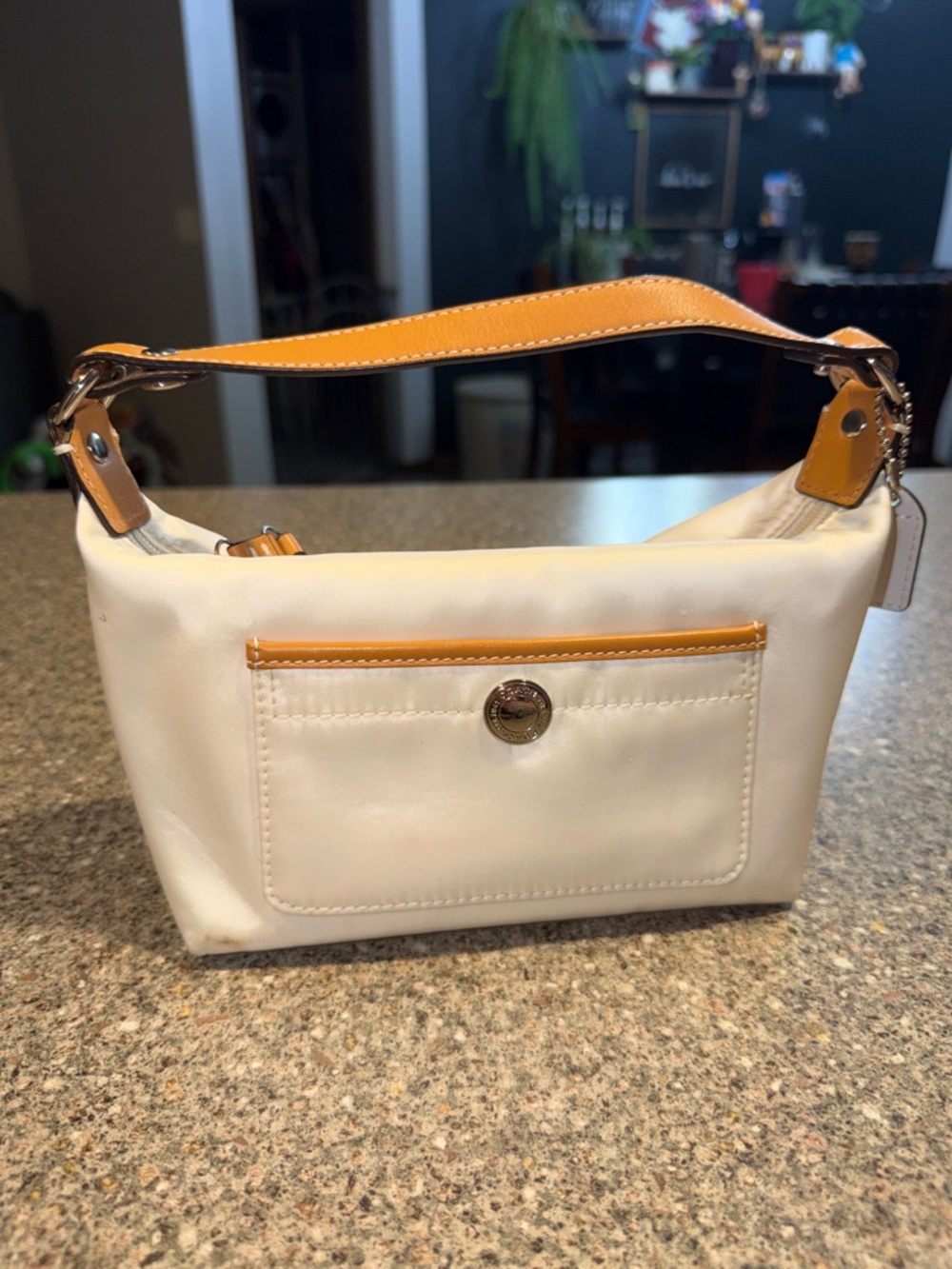 Coach Y2k Vintage satin hampton hobo bag